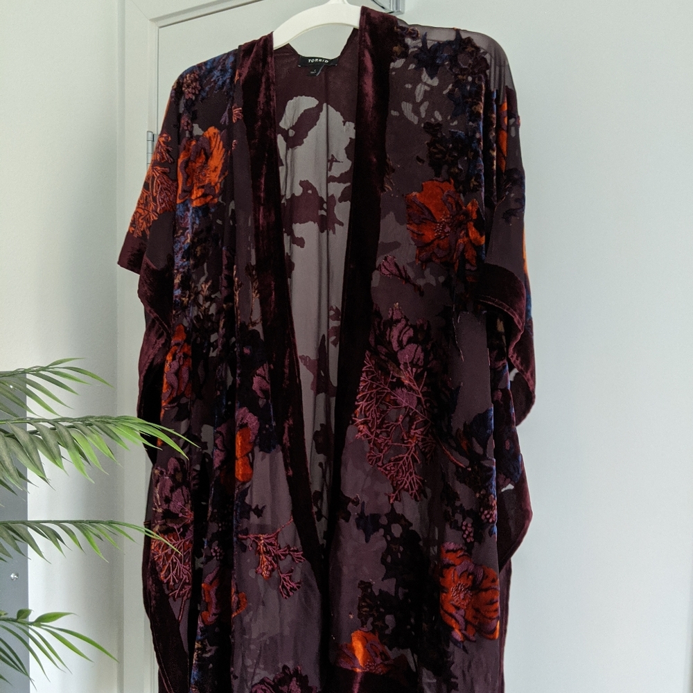 🏷️ BOGO🆓 Sheer kimono with velvet accents